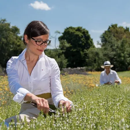 Herbal Estate Belajevi 1839 Divača